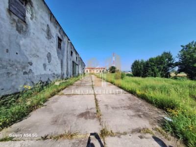 Hala industriala Bod Colonie