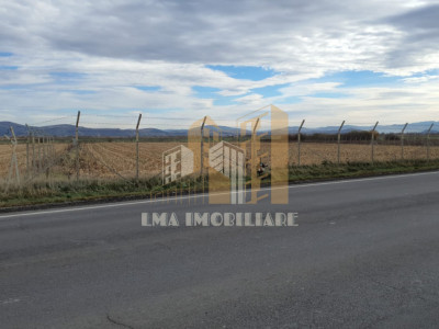 Teren intravilan industrial DN 13 Calea Feldioarei Brasov