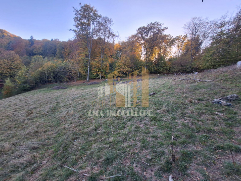 Teren de vanzare 2900 mp Brasov Strada Ciresului