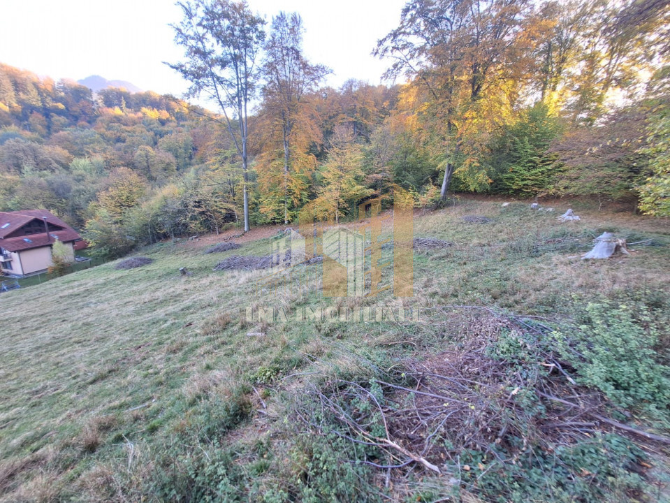 Teren de vanzare 2900 mp Brasov Strada Ciresului