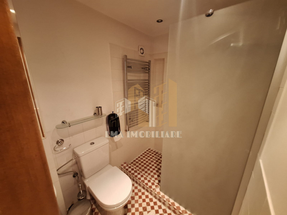 Casa Saseasca individuala Cristian Brasov