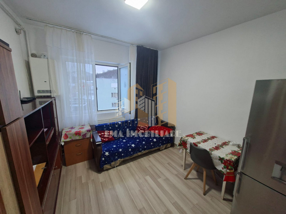 Camera de camin Noua Brasov