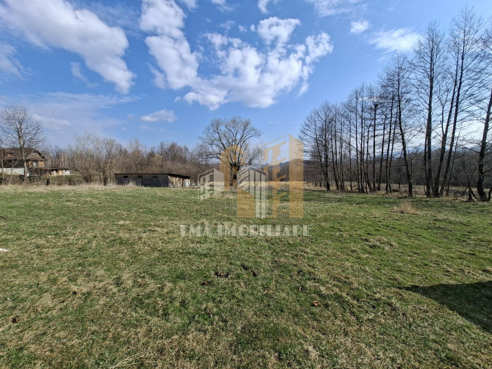 Teren intravilan Tohanita Bran-Zarmesti Brasov