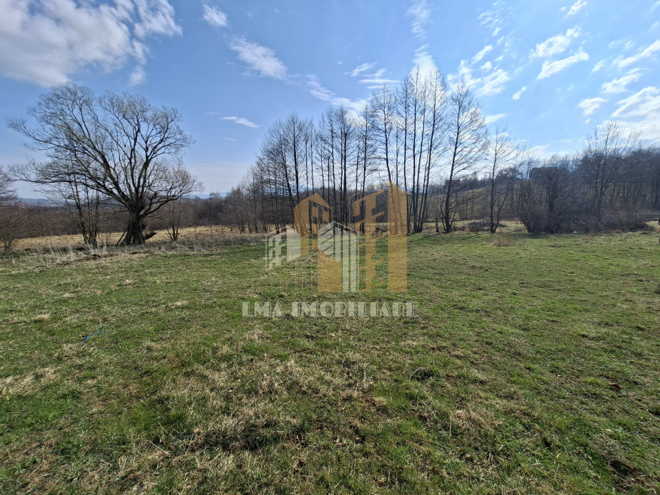 Teren intravilan Tohanita Bran-Zarmesti Brasov