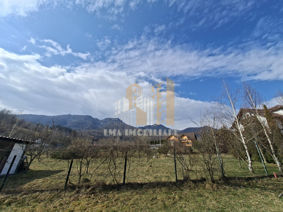 Teren intravilan Tohanita Bran-Zarmesti Brasov